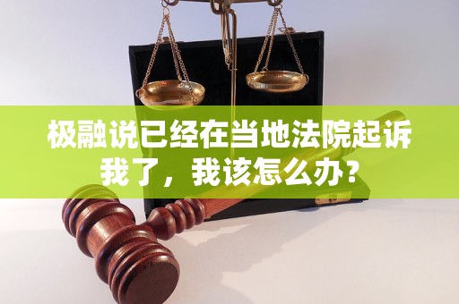 极融说已经在当地法院起诉我了，我该怎么办？