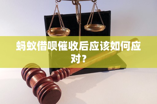 蚂蚁借呗催收后应该如何应对？