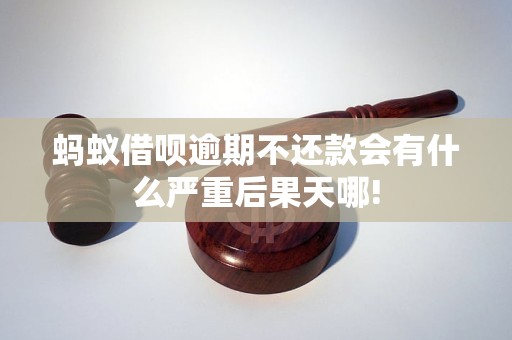 蚂蚁借呗逾期不还款会有什么严重后果天哪!